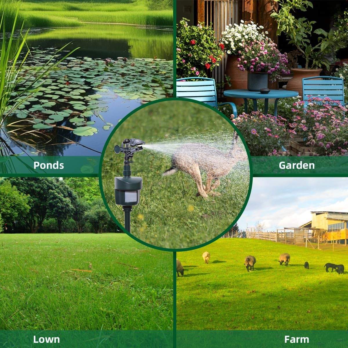 Lawn & Garden