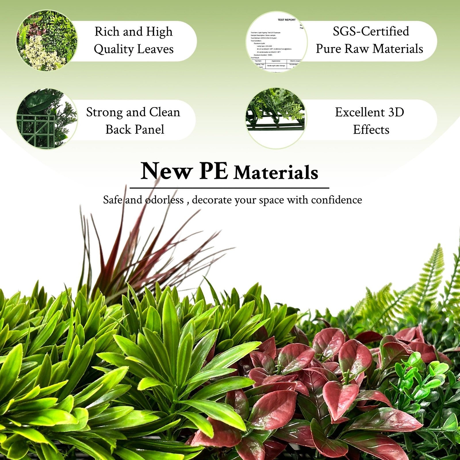 Aquarium Plants