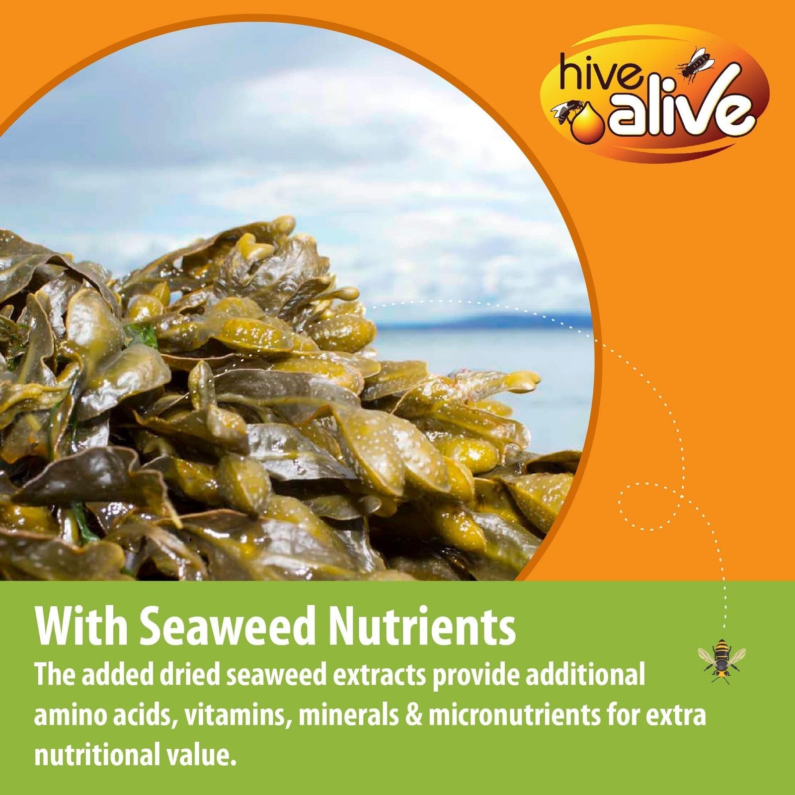 Hive Alive honey bee pollen patty, 10 lb pack, natural bee food with 10 individual 1 lb pollen patties for hive nourishment.