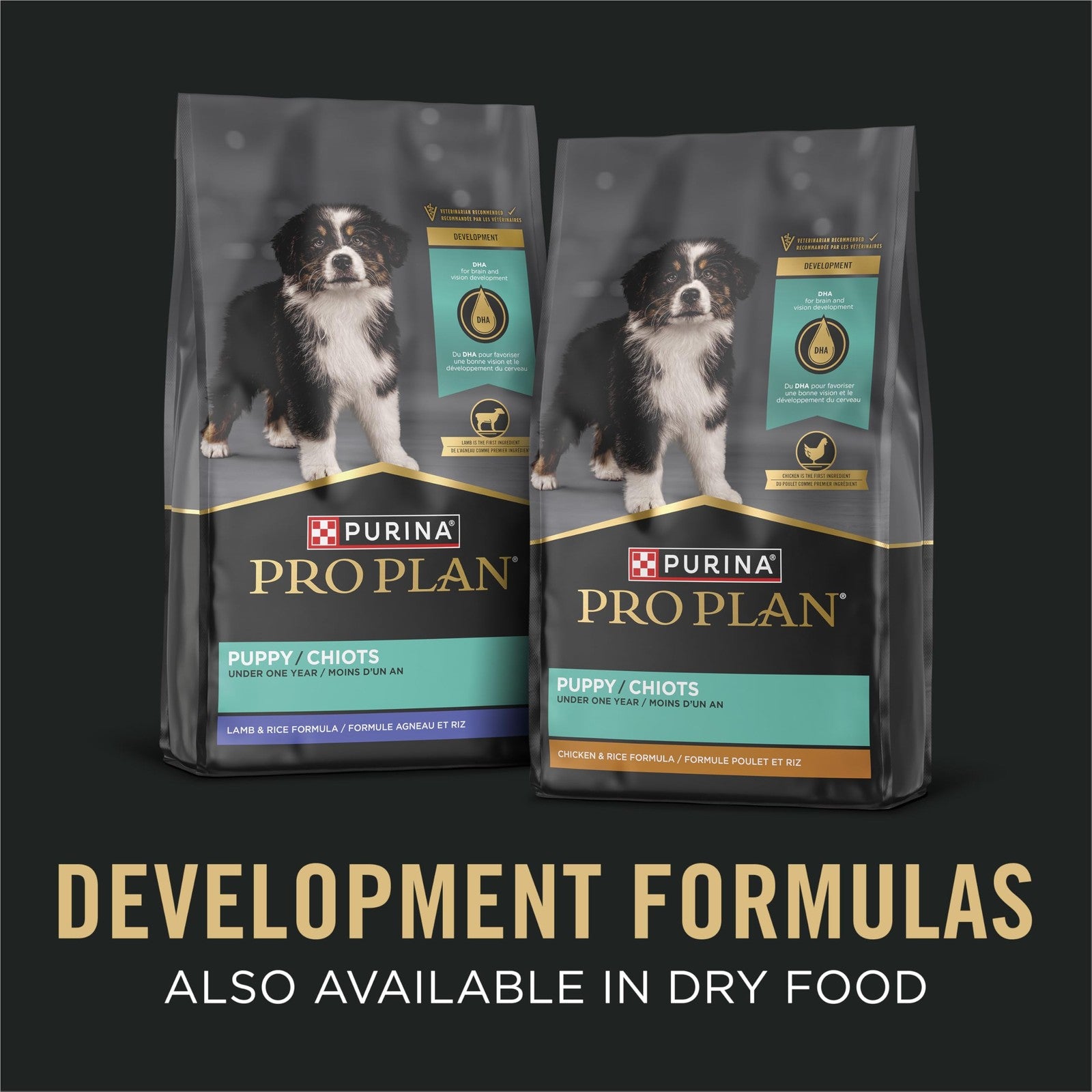 Purina Pro Plan grain free wet puppy food with classic chicken entrée in a pack of 12, featuring cans with chicken and gravy