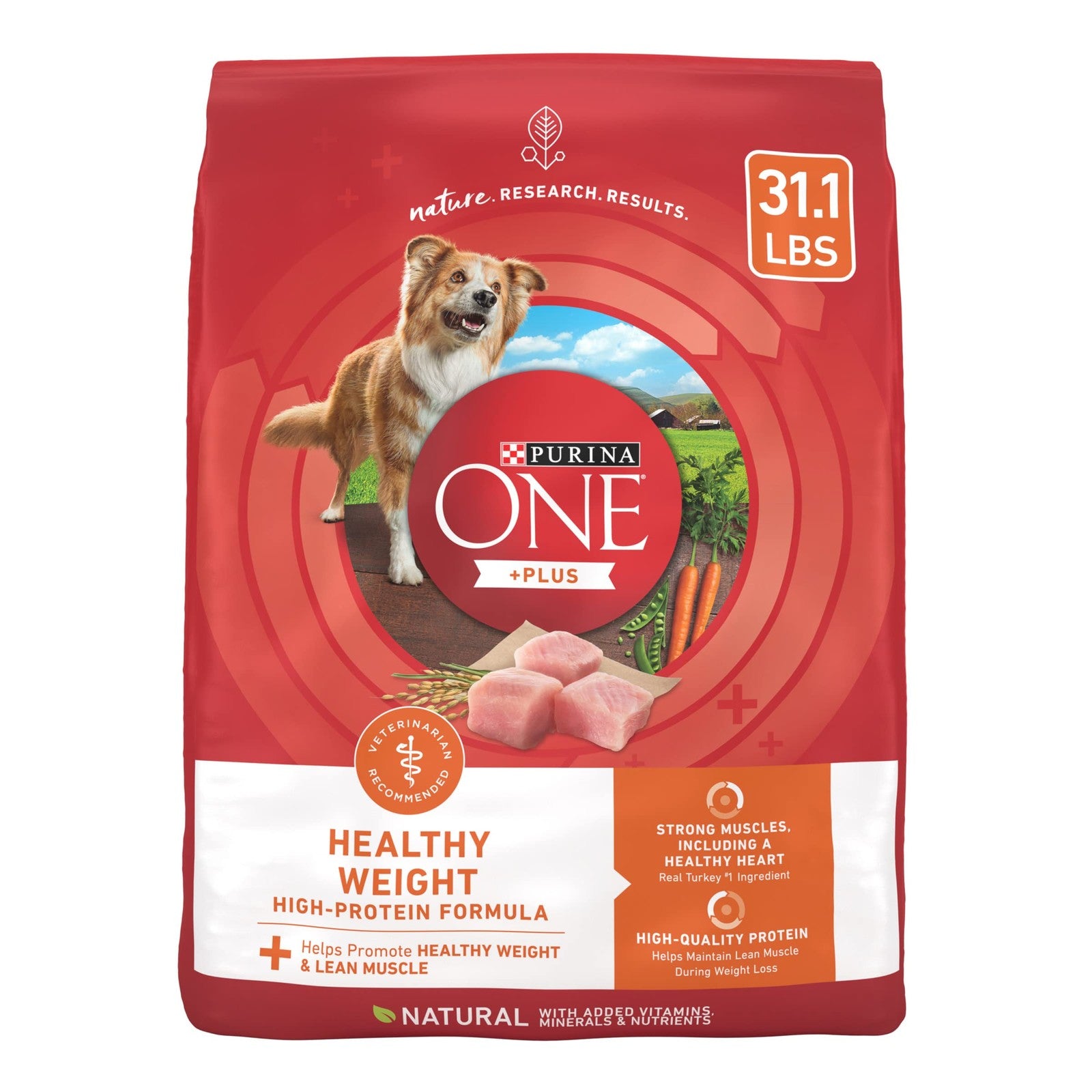 Purina ONE Healthy Weight high-protein dry dog food in a 31.1 lb bag, featuring kibble for weight management and canine nutrition.
