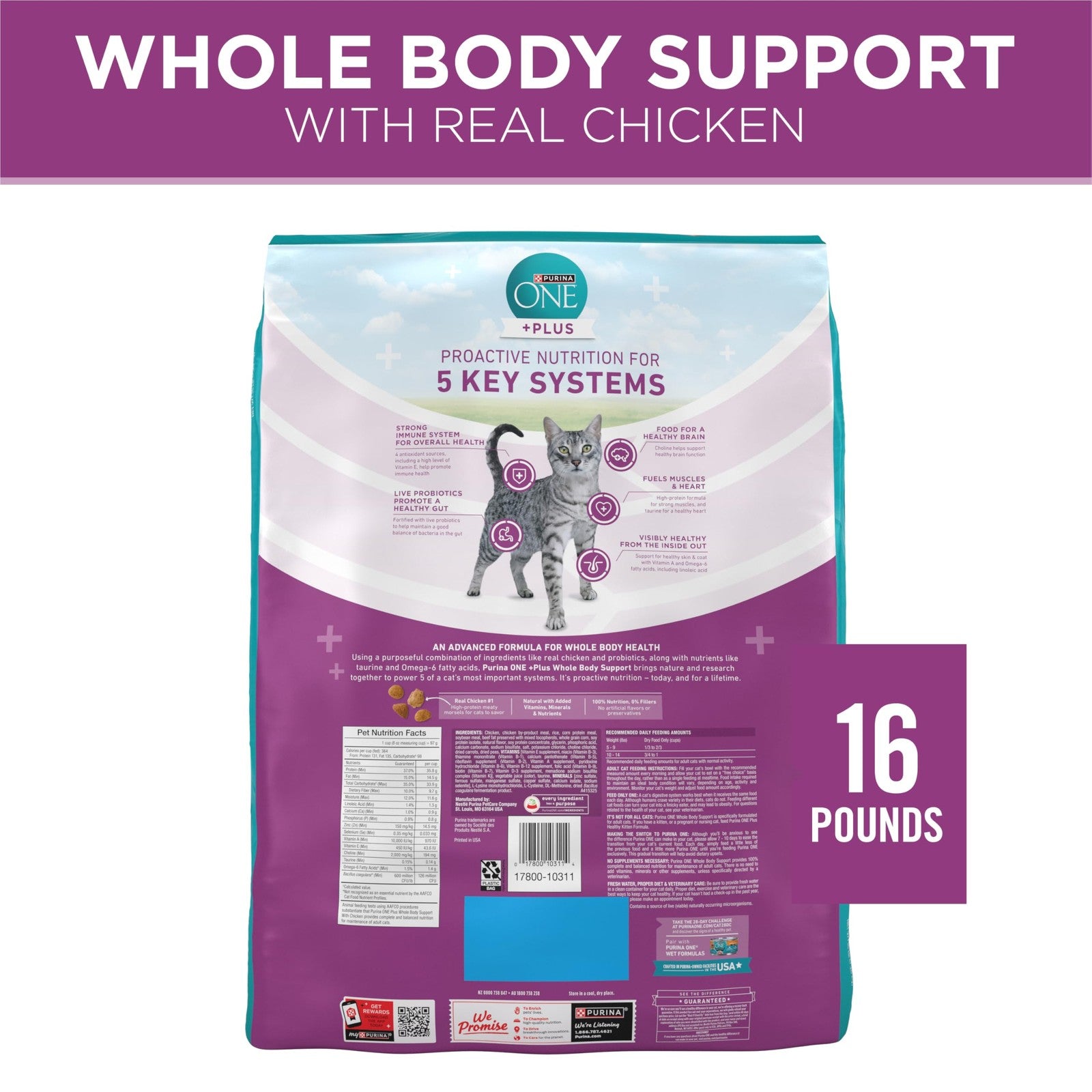 Bag of Purina ONE+ Whole Body Support Chicken Dry Cat Food, 16 lb, showing the product packaging with cat imagery.