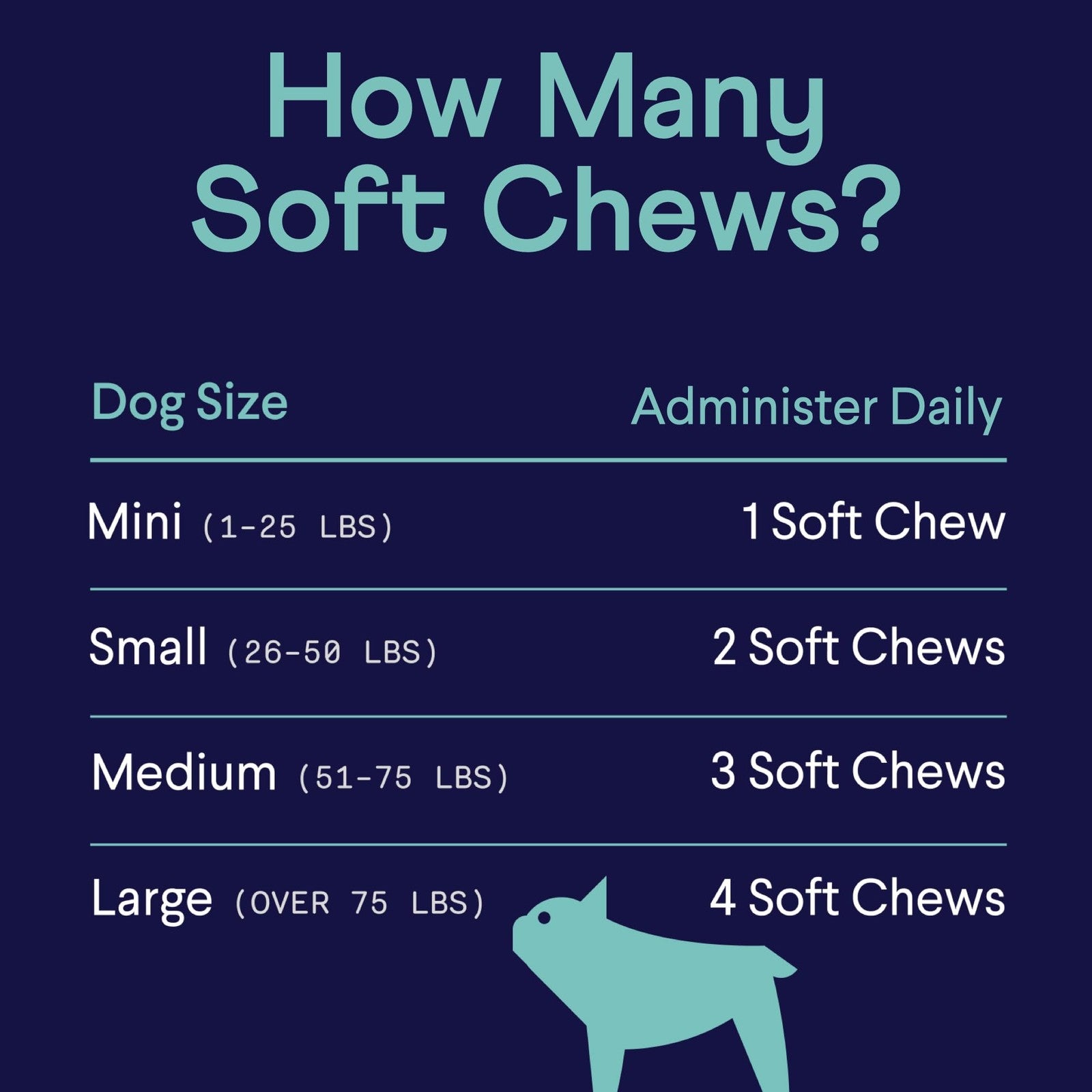Finn Calming Aid for Dogs natural calming chews with melatonin, featuring a jar of dog treats on a neutral background.
