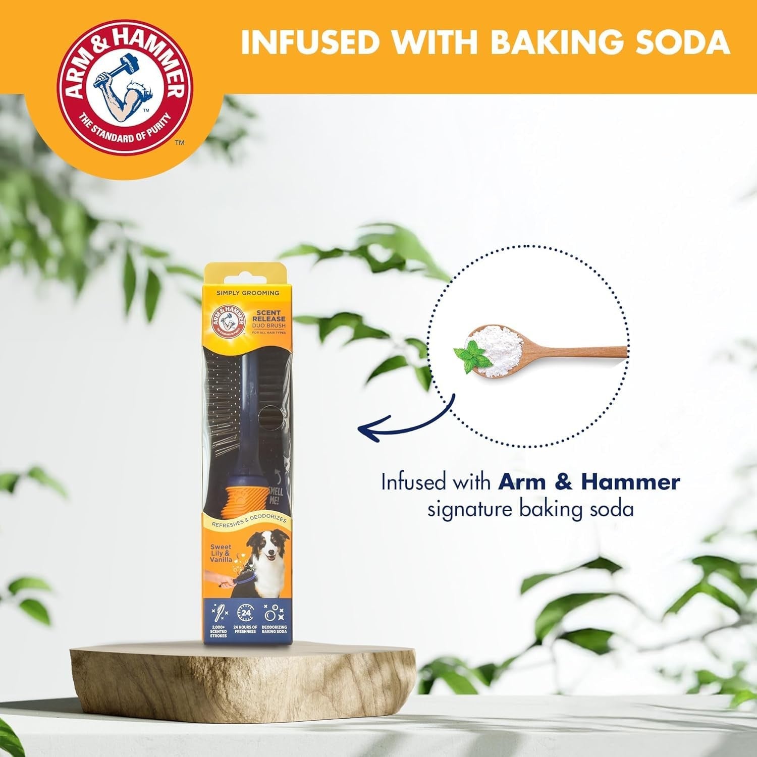 Arm & Hammer Deodorizing Pin & Bristle Dog Grooming Brush with fragrance transfer, showing the brush with pins and bristles.
