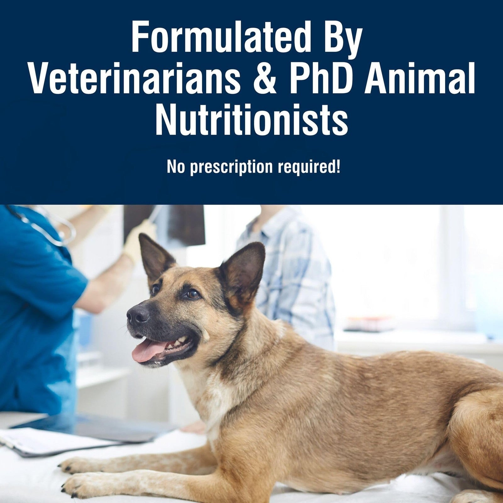 Blue Buffalo True Solutions Mobility Care natural dry dog food for adult dogs, showing the bag with product branding and packaging.
