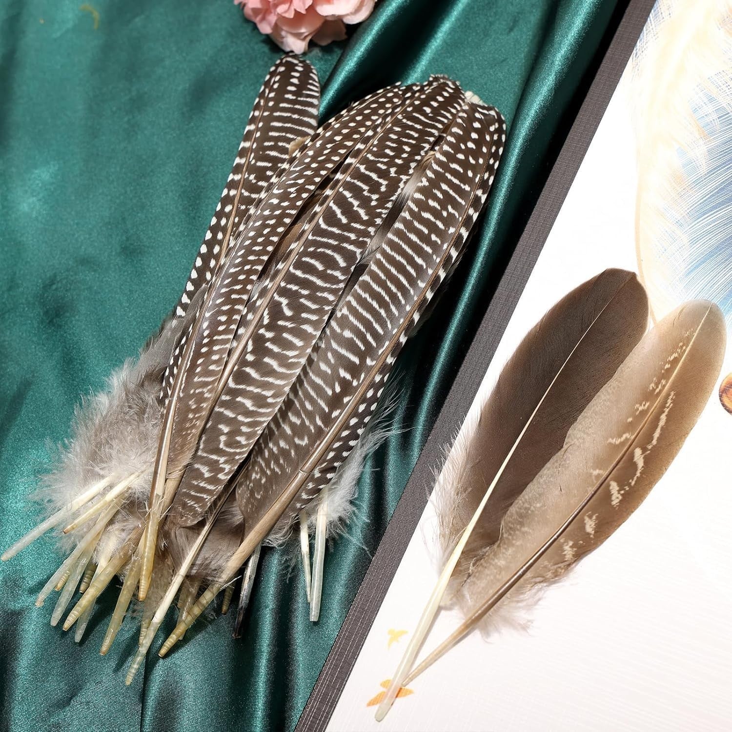 Natural spotted guinea fowl wing feathers from THARAHT, 6-8 inches, displayed in a collection of 24 feathers.