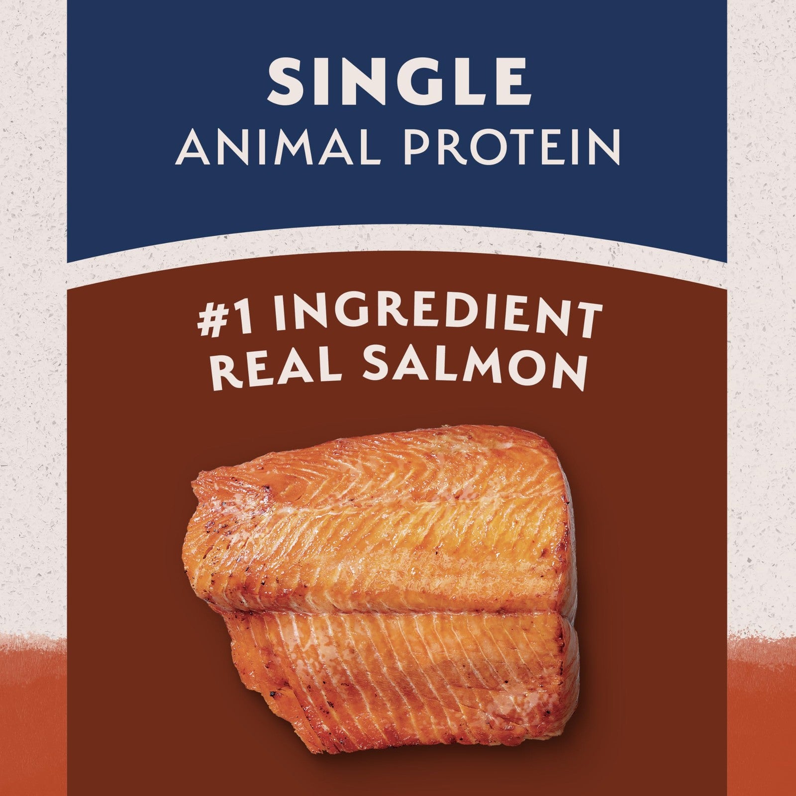 Bag of Natural Balance Limited Ingredient Grain Salmon and Sweet Potato dry dog food showing the packaging and product label.