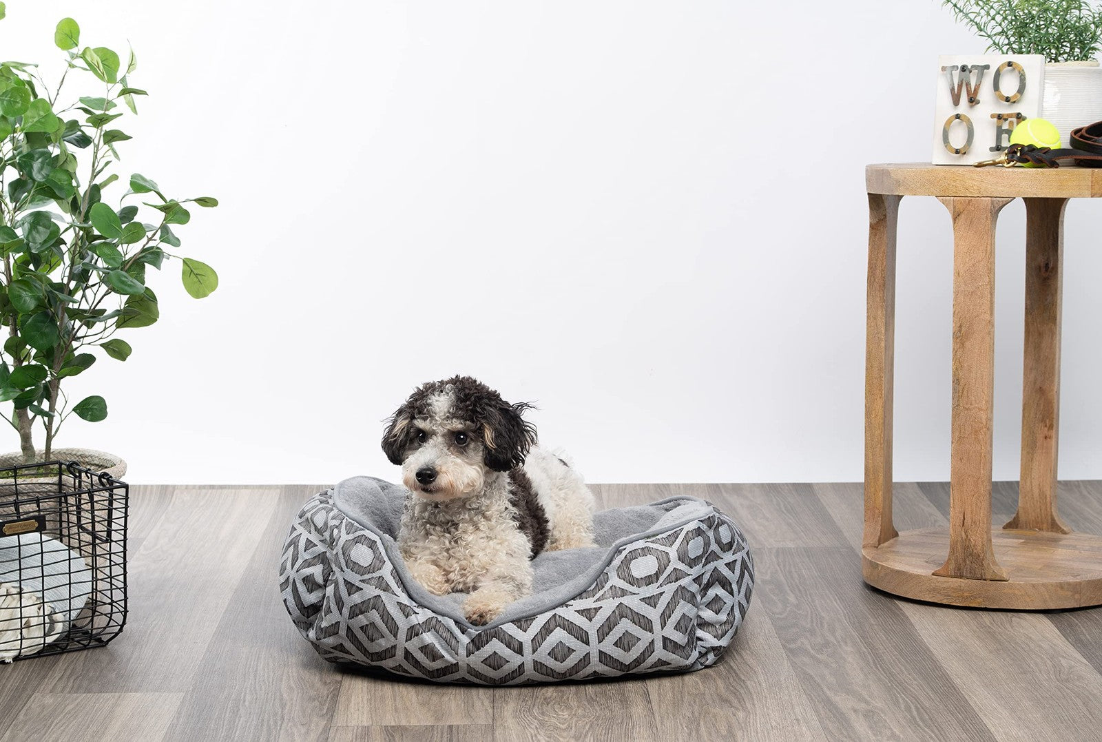 Luxury dog bed by Modern Threads with oxford printed plush fabric, cozy cuddler design for small to medium-sized dogs.