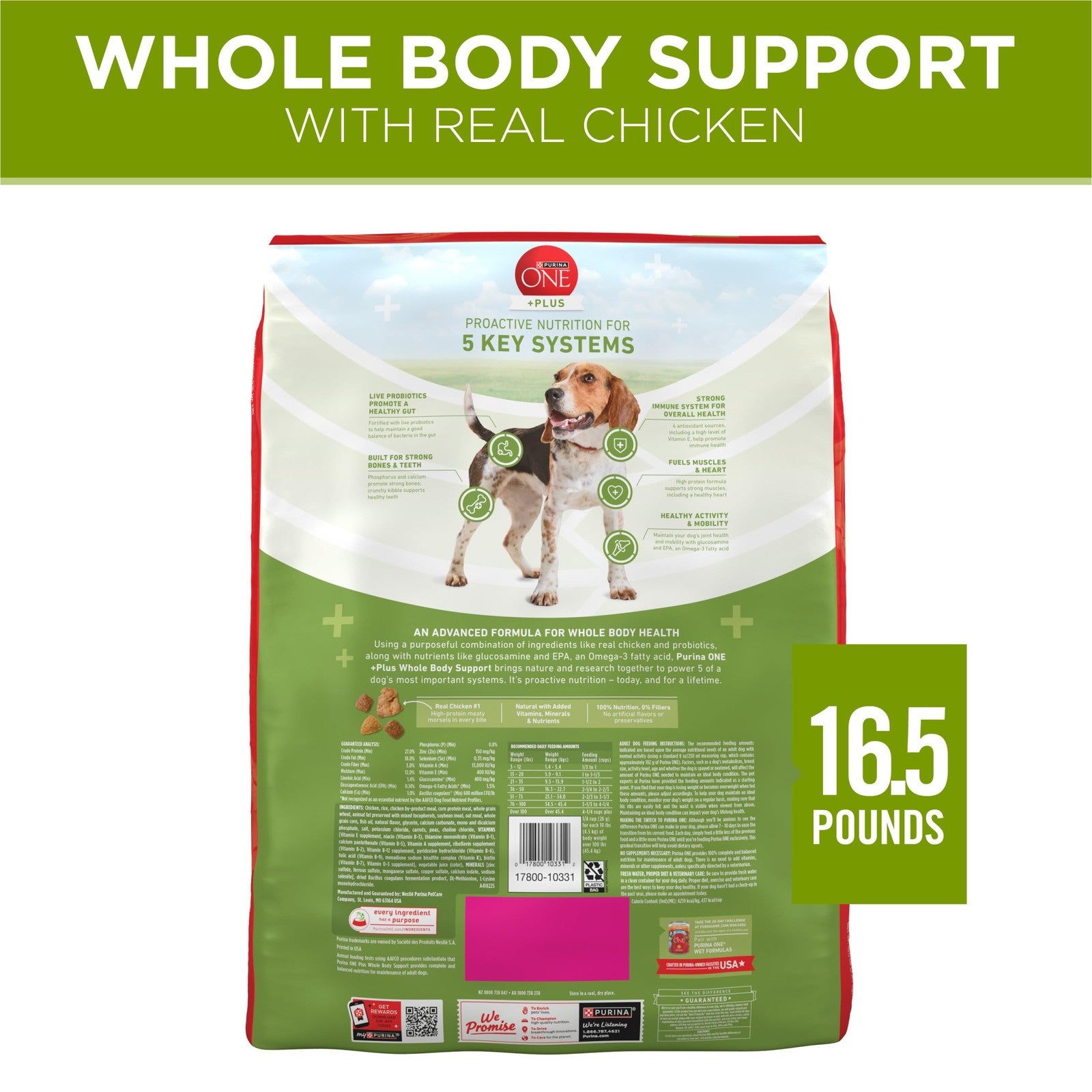 Purina ONE Plus Whole Body Support Chicken dry dog food in a 16.5lb bag, featuring kibble for healthy canine nutrition.