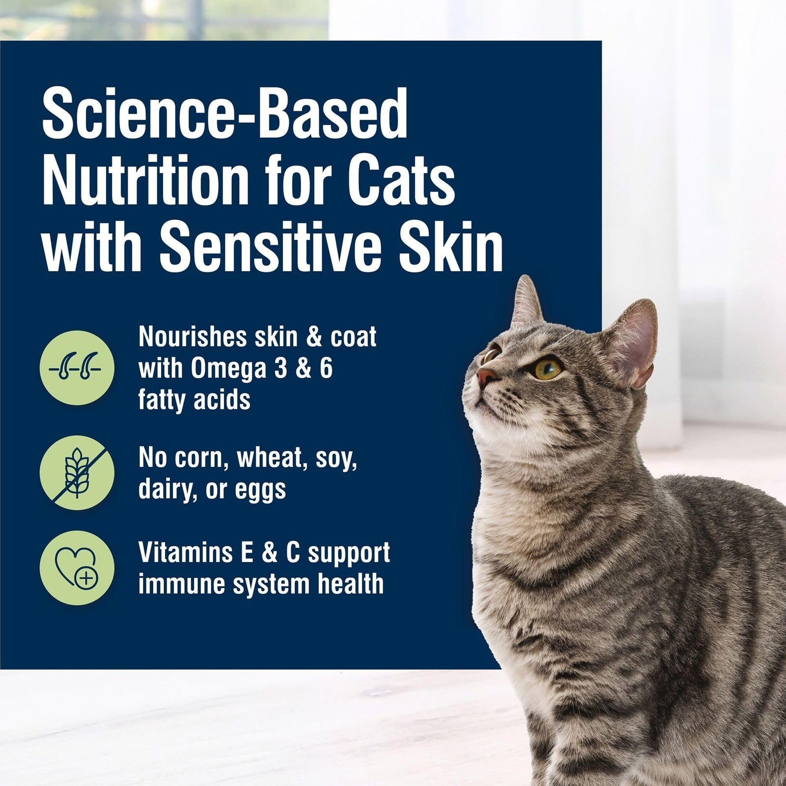 Cans of Blue Buffalo True Solutions Skin & Coat Adult Wet Cat Food with whitefish, featuring product labels and whitefish flavor.