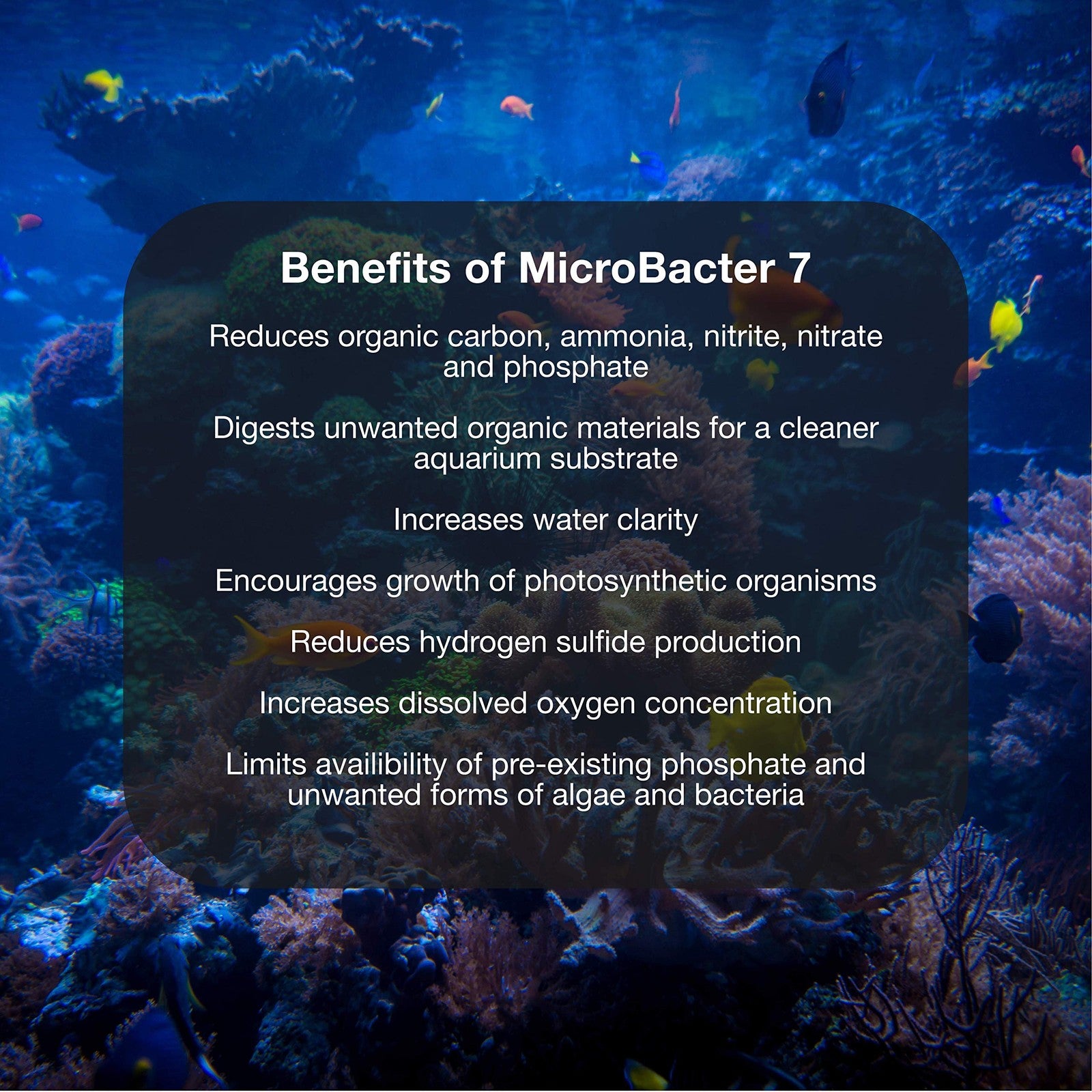 Brightwell Aquatics MicroBacter7 and MicroBacter Clean bottles showing bacteria and water conditioning products for aquarium use.