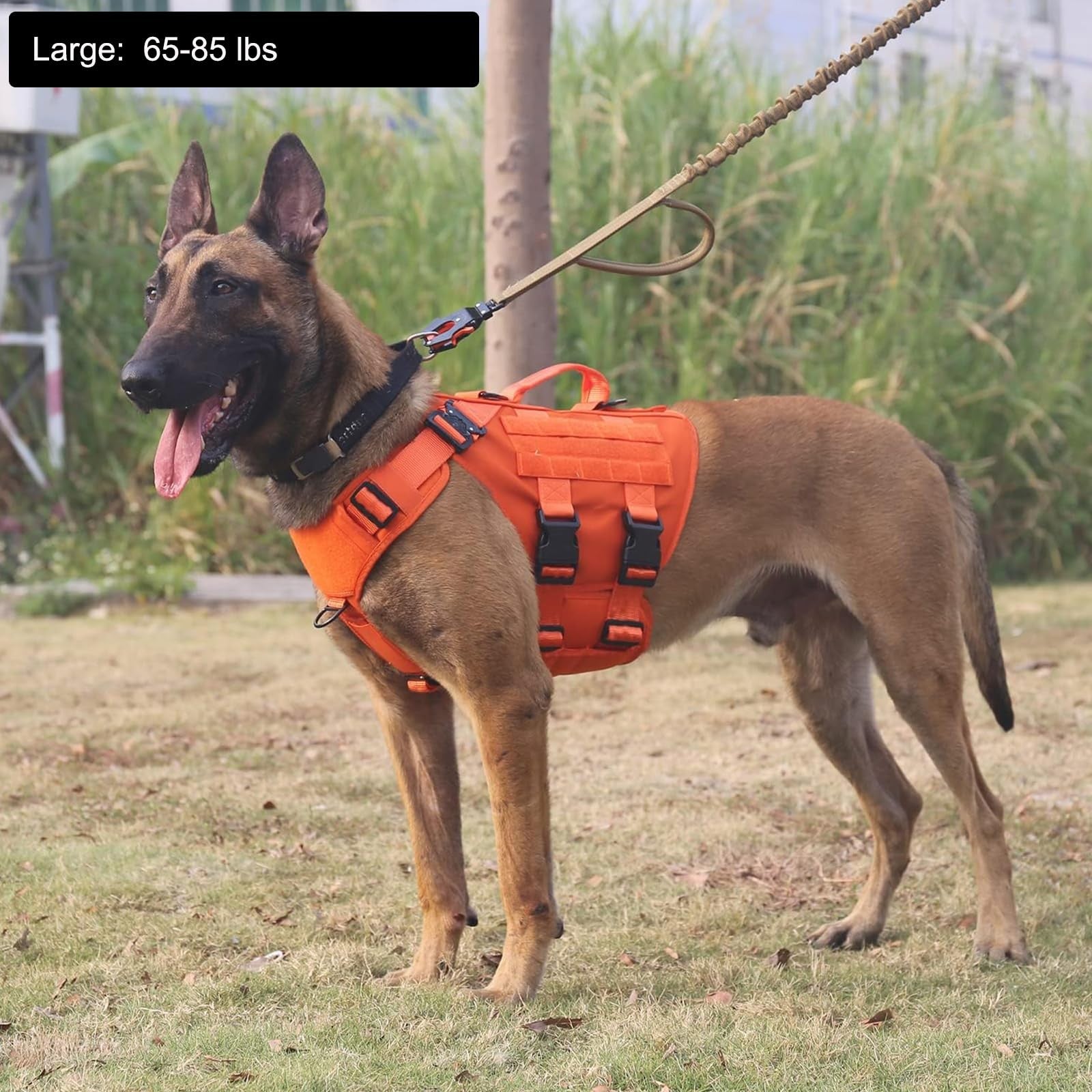 Icefang Gn3 tactical dog harness with molle vest, handle, and buckles, designed for 3/4 body size and durable use.