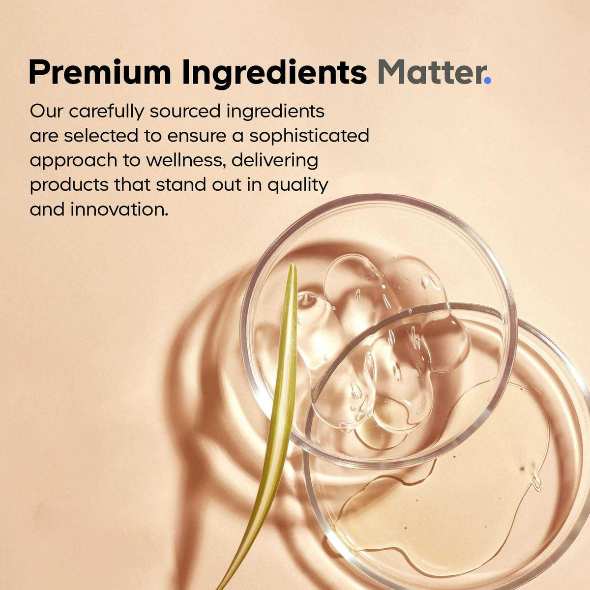 Unbranded grass-fed beef isolate protein powder container with label, highlighting 20 amino acids, on a white background.