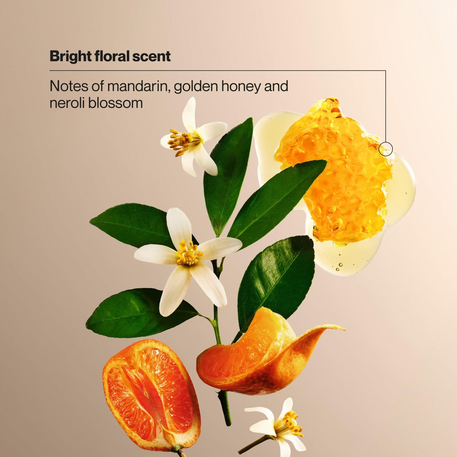 Suave Citrus Blossom exfoliating body wash and scrub with glycerin and vitamin E, showing the textured gel and citrus scent.