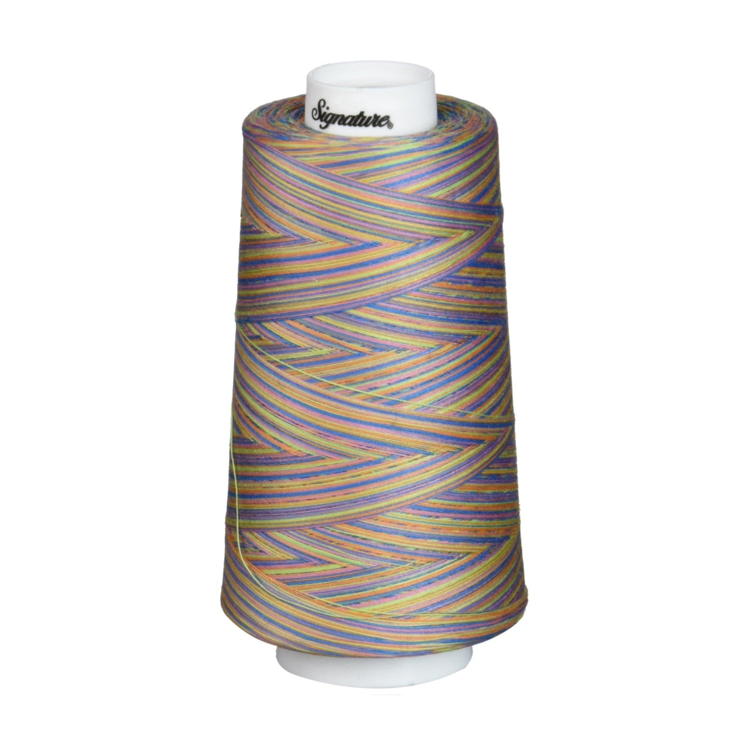 Signature Cotton Quilting Thread 3000 yd variegated in bright, summery colors, perfect for quilting and sewing projects.