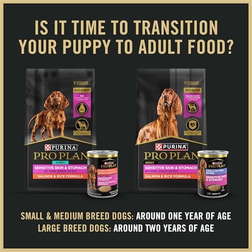 Purina Pro Plan Puppy Classic wet dog food cans with salmon and rice, 12-pack, showing the cans and packaging.