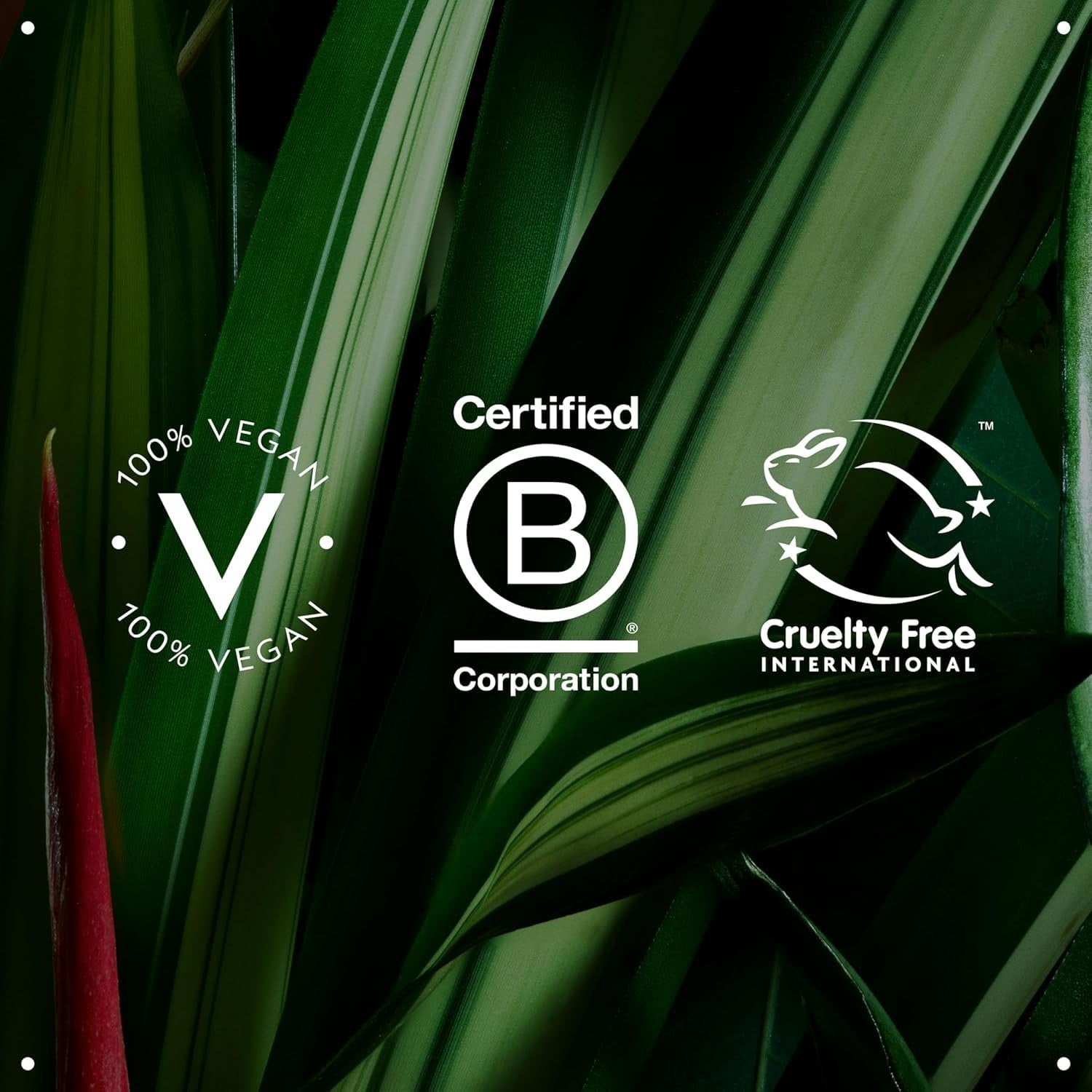 Aveda Botanical Repair Purple Toning Shampoo for blonde, silver, and grey hair, showing the purple shampoo bottle and product label.