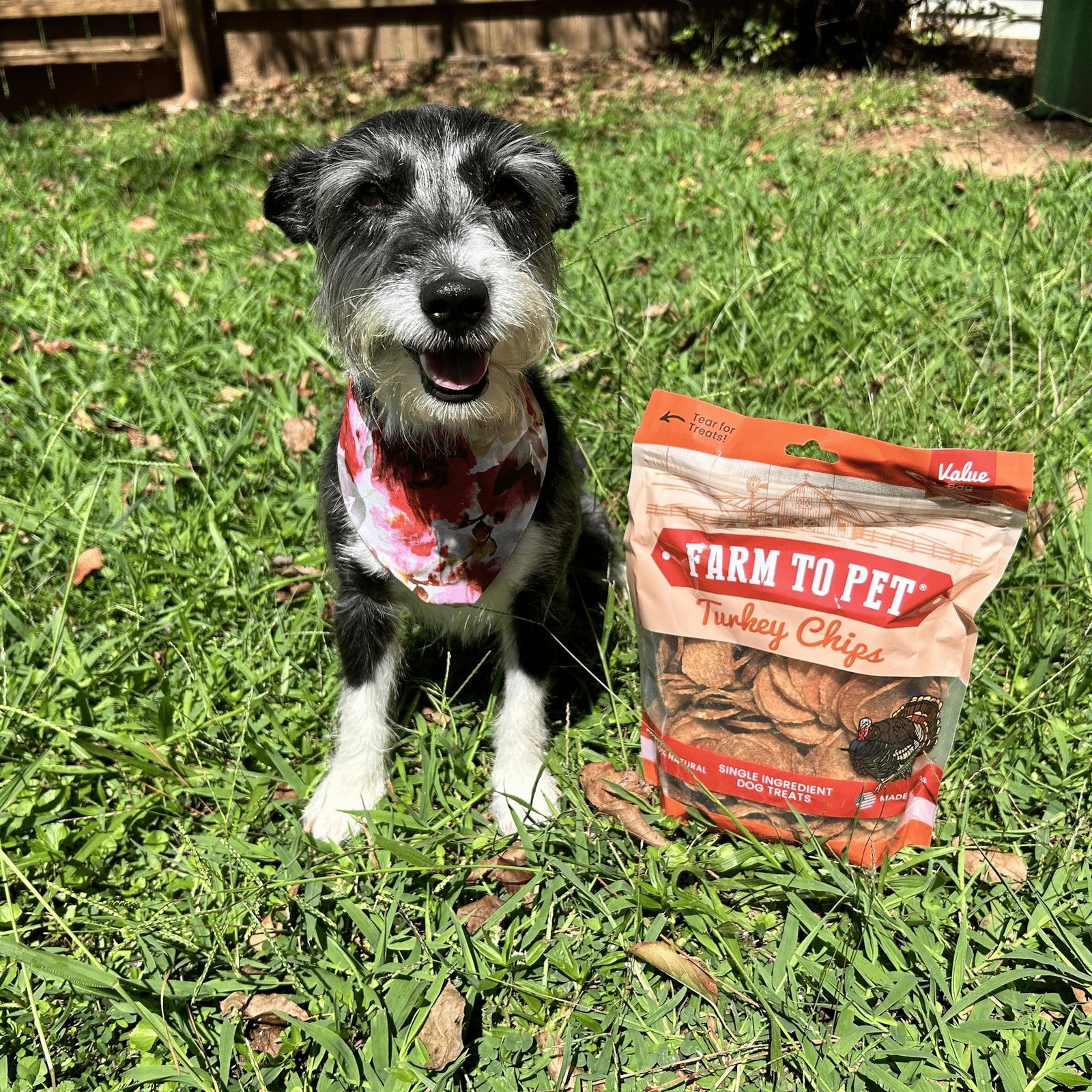 Farm To Pet healthy turkey dog treats in a 12 oz bag, crunchy and suitable for training or snacking.