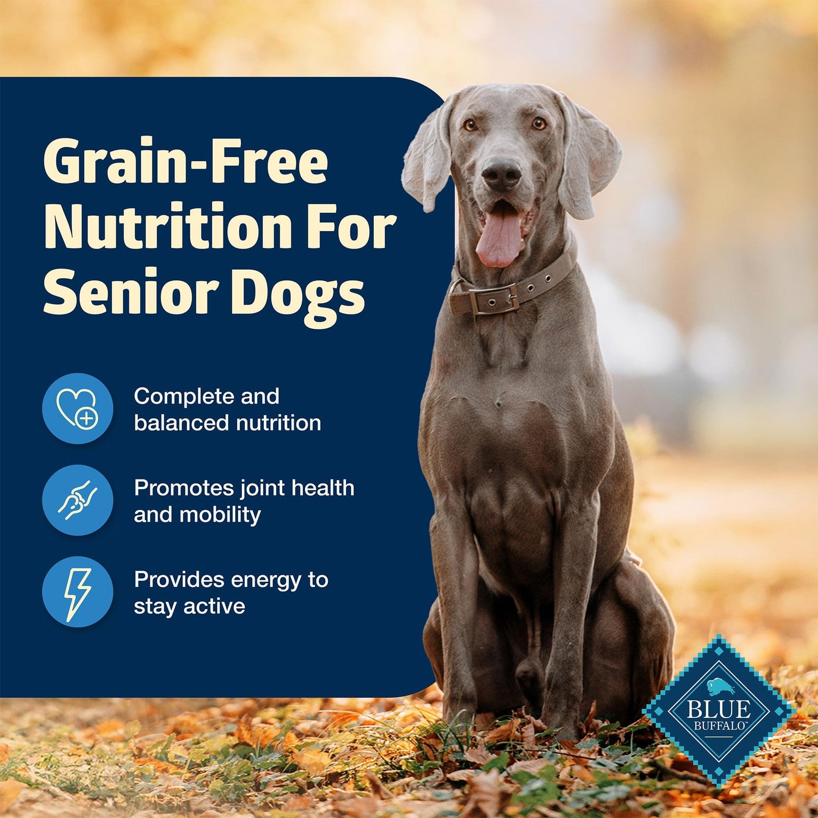 Blue Buffalo Freedom grain-free senior wet dog food in a can, featuring tender chunks and natural ingredients for older dogs.
