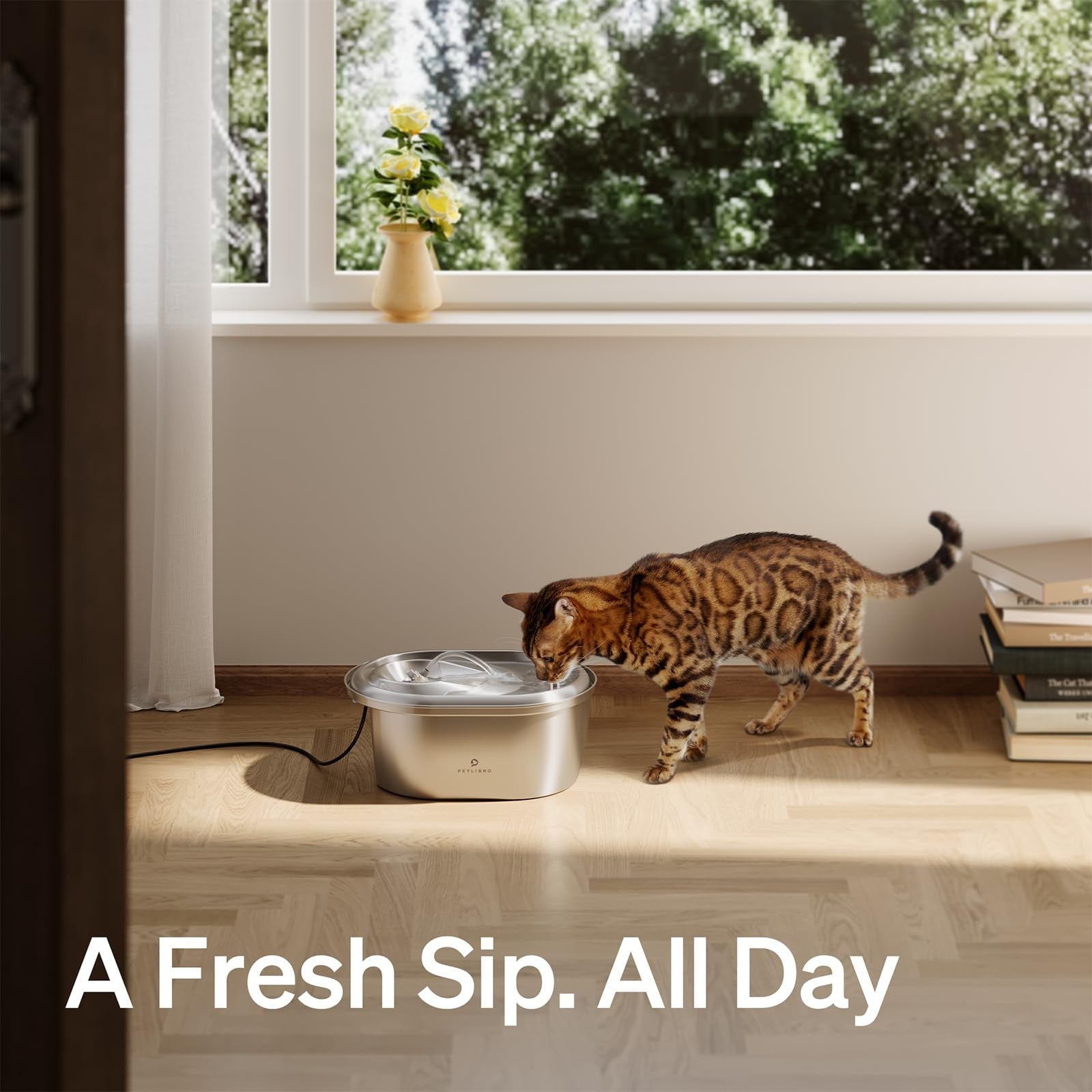 Petlibro stainless steel cat water fountain with 101oz capacity, 4 filters, and sponges, designed for fresh, filtered pet water.