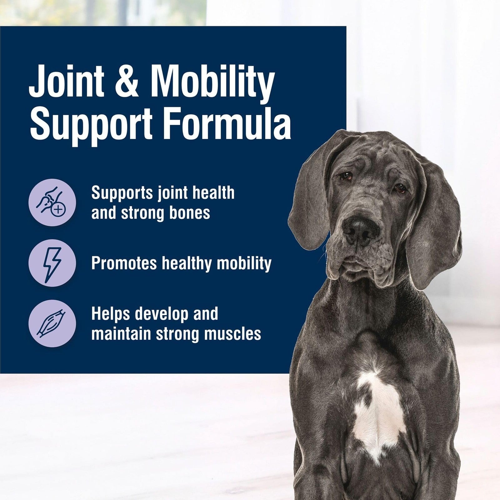Blue Buffalo True Solutions Mobility Care natural dry dog food for adult dogs in a bag showing the product and branding.