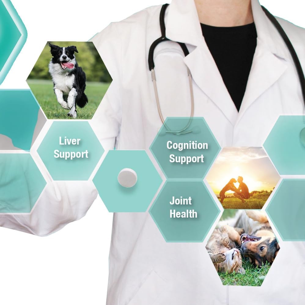 Denestra Liver and joint supplement for dogs, containing S-Adenosyl-L-Methionine, for liver health and cognitive support.