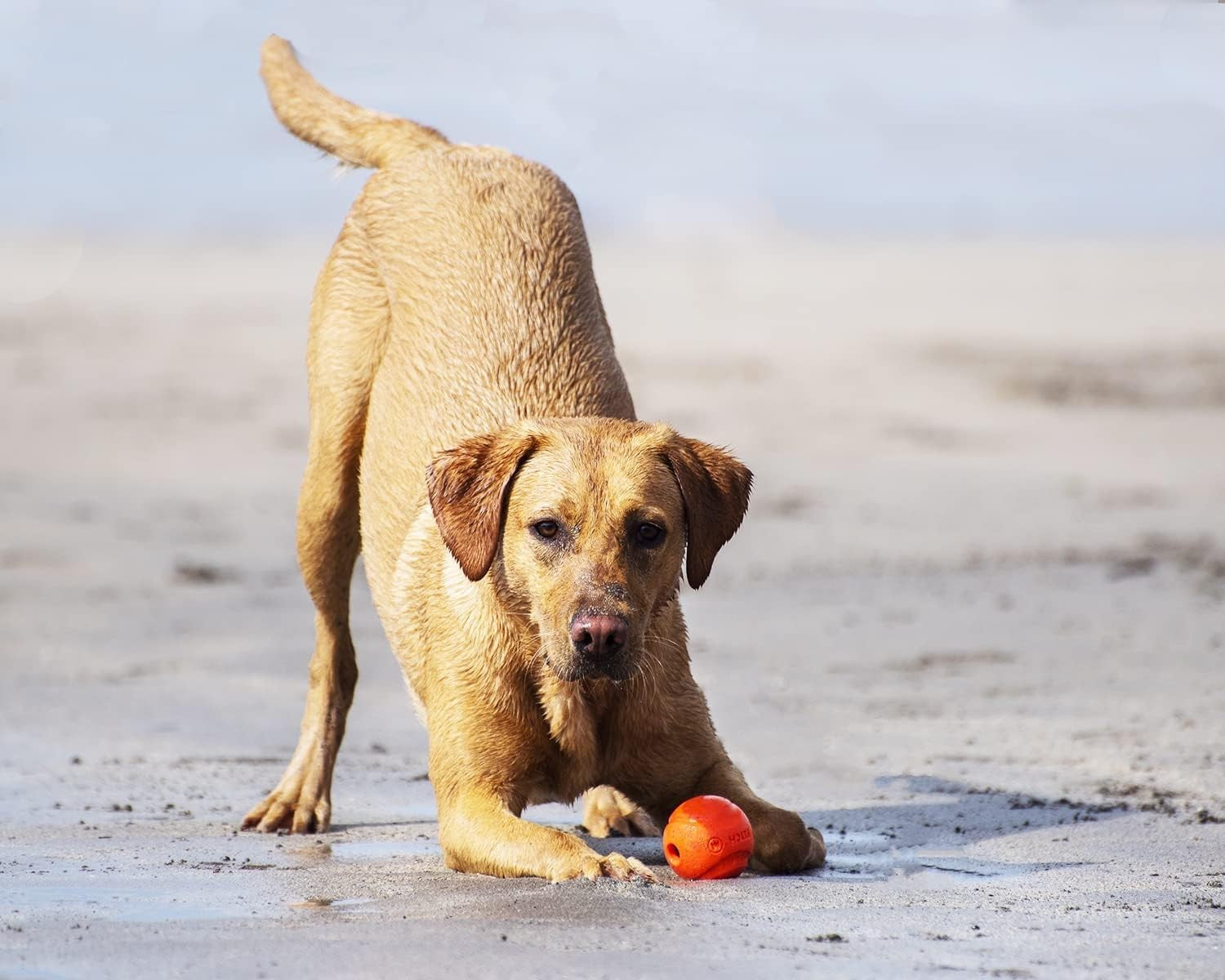 Chuckit! Dog Toys for medium breeds, pack of 3 with 2.5-inch toys including a squeaker, designed for active play.