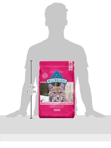 Blue Wilderness grain-free dry cat food with salmon, high protein formula in a blue bag, designed for active cats.