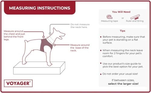 Best Pet Supplies Voyager Step-in Air Mesh Dog Harness with reflective 5 ft leash, designed for all-weather outdoor walks.