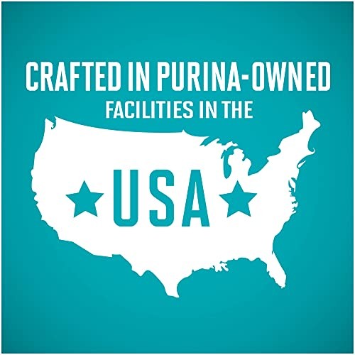Cans of Purina ONE grain-free senior cat food, Vibrant Maturity 7+ flavor, with pate texture and natural ingredients.