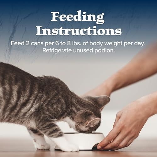 Blue Buffalo Wilderness grain-free wet cat food for adults with turkey, showing the canned food with turkey chunks.