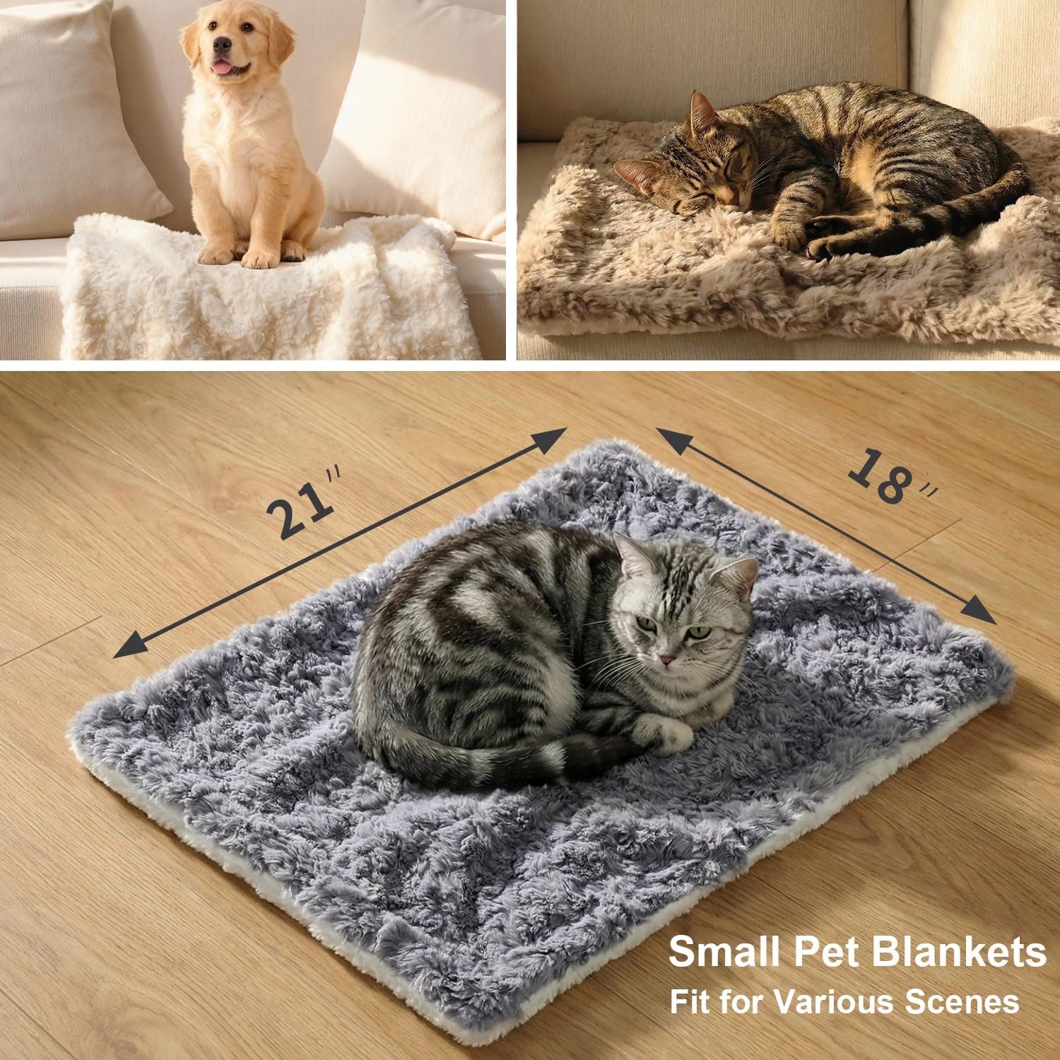 Ultra-soft plush cat blanket by NODARKO, cozy and washable small blanket for indoor cats, perfect for keeping your feline warm.
