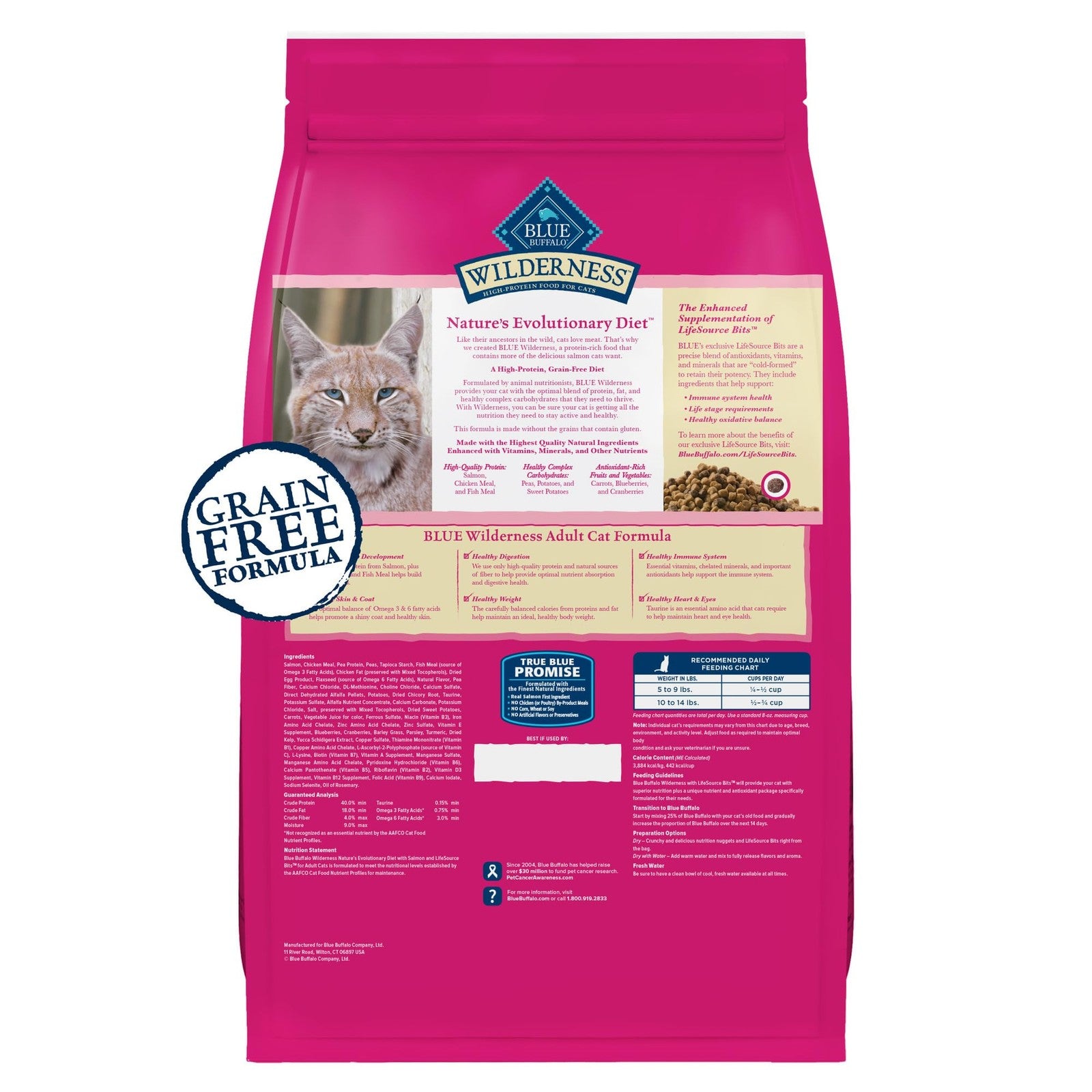 Blue Buffalo Wilderness Grain-Free Dry Cat Food with salmon, high protein, natural ingredients, in a blue bag.