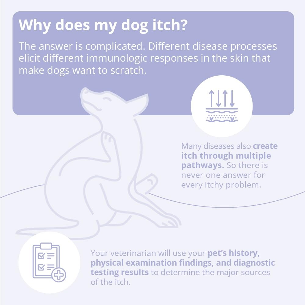 TrizCHLOR 4 Mousse for dogs, cats, and horses in a 7.1-ounce bottle, showing the foam applicator and product label.