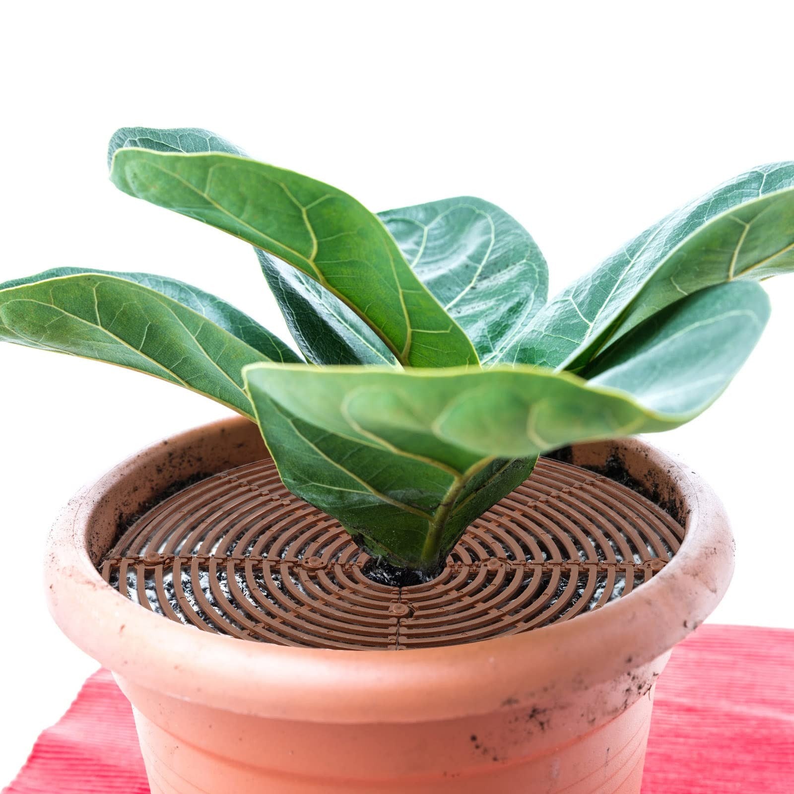 Four unbranded plant pot grid soil protector covers, cuttable flower protectors, suitable for garden and indoor plant pots.
