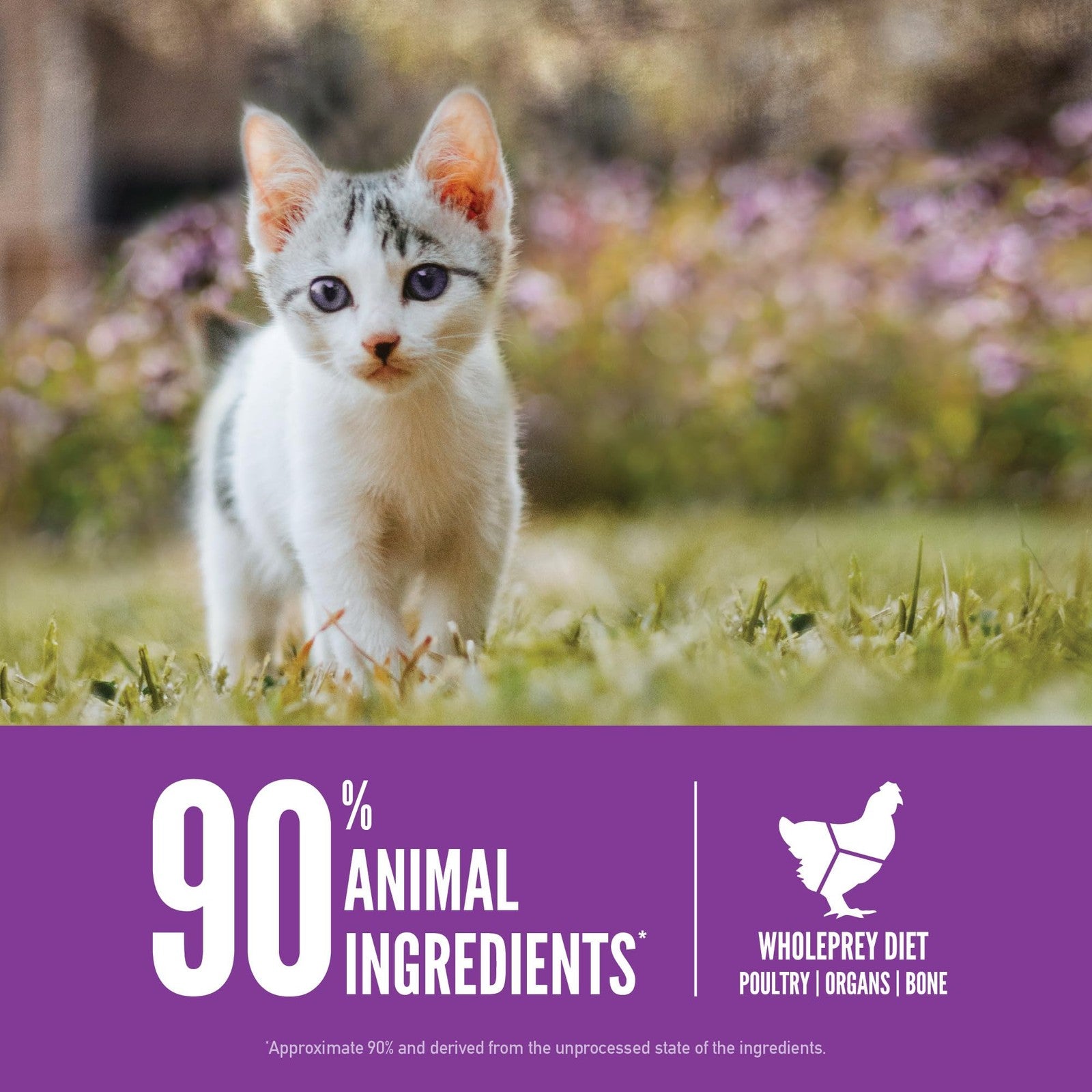 ORIJEN Grain-Free High Protein Dry Cat Food Kitten Recipe 4lb bag showing the bag's packaging and branding