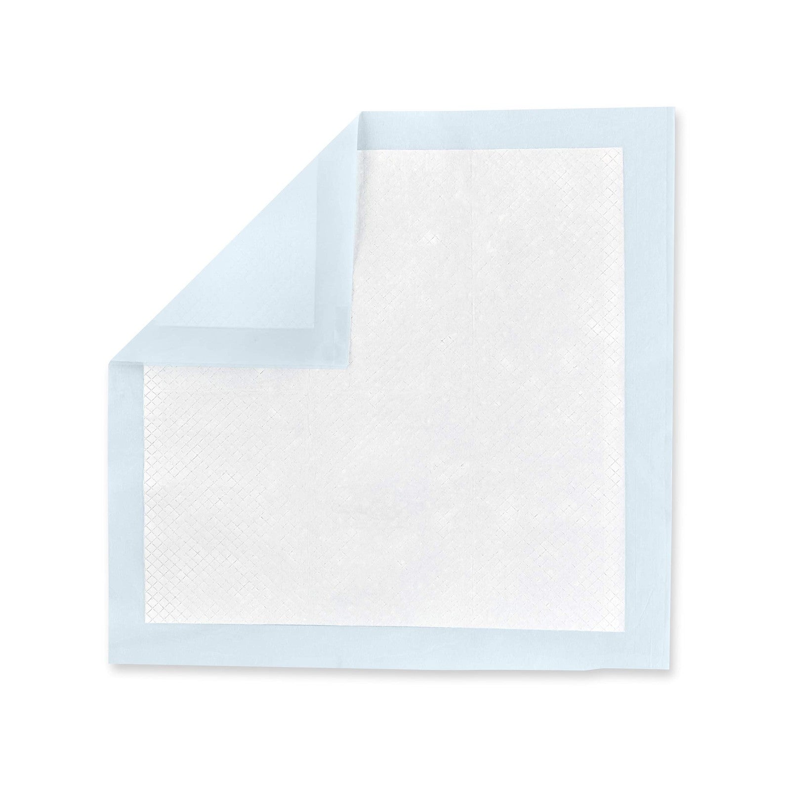 Amazon Basics dog waste bags and training pads, 10-pack, with disposable bags and absorbent training pads for pet cleanup.