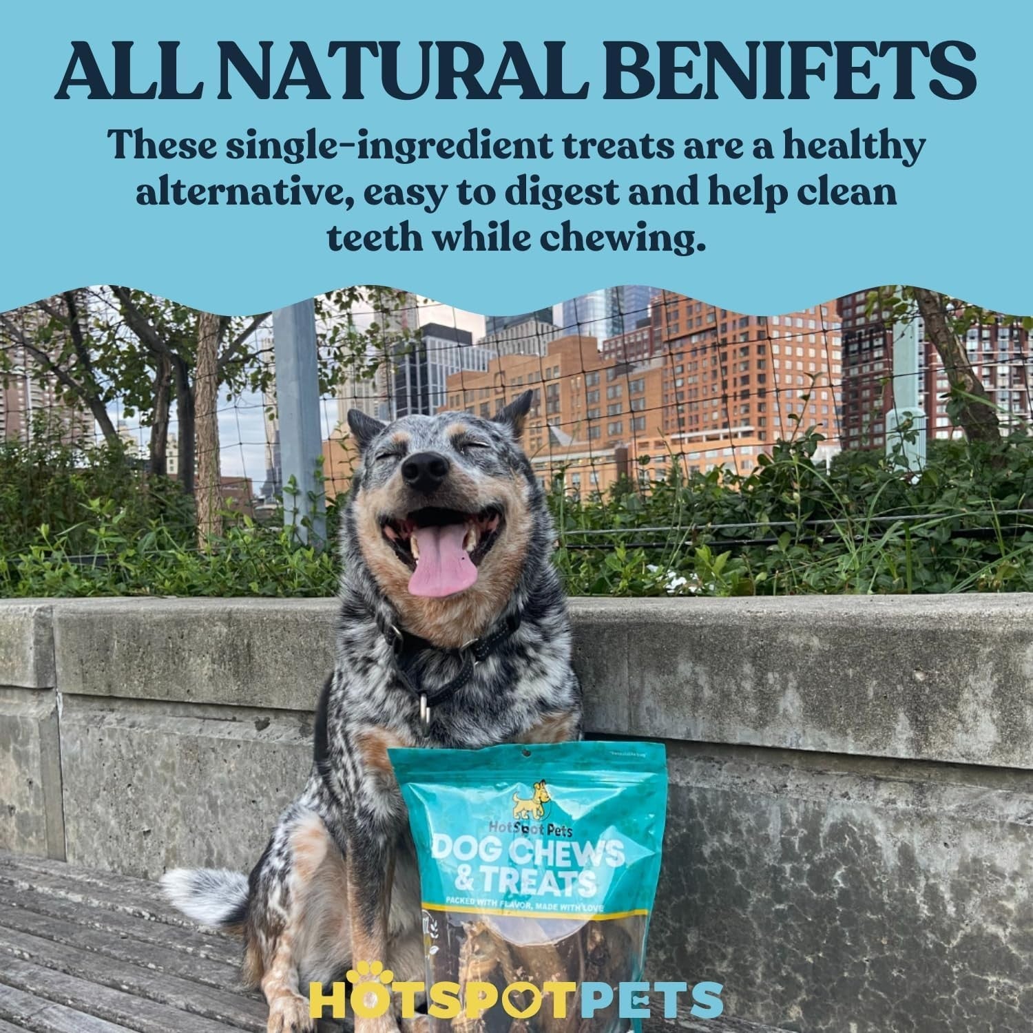Hotspot Pets premium split elk antlers for dogs, 7-inch large dog chews, natural and durable pet treats in a 2-pack.