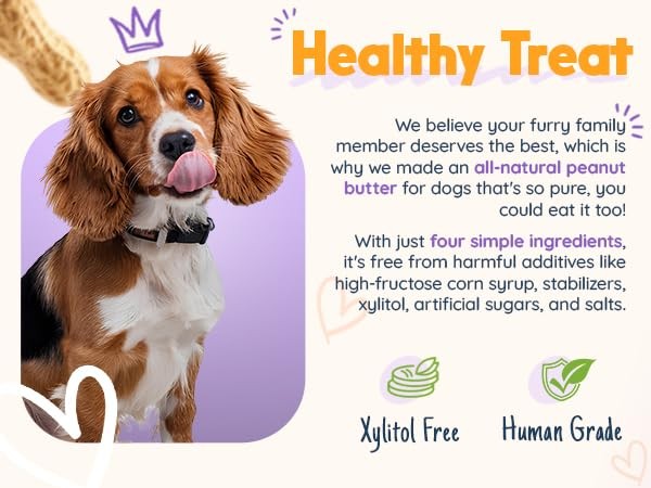 BUDDY BUDDER Superberry Snoot and Pumpkin Pup blue dog enrichment mat combo with colorful, textured mats for canine mental stimulation.