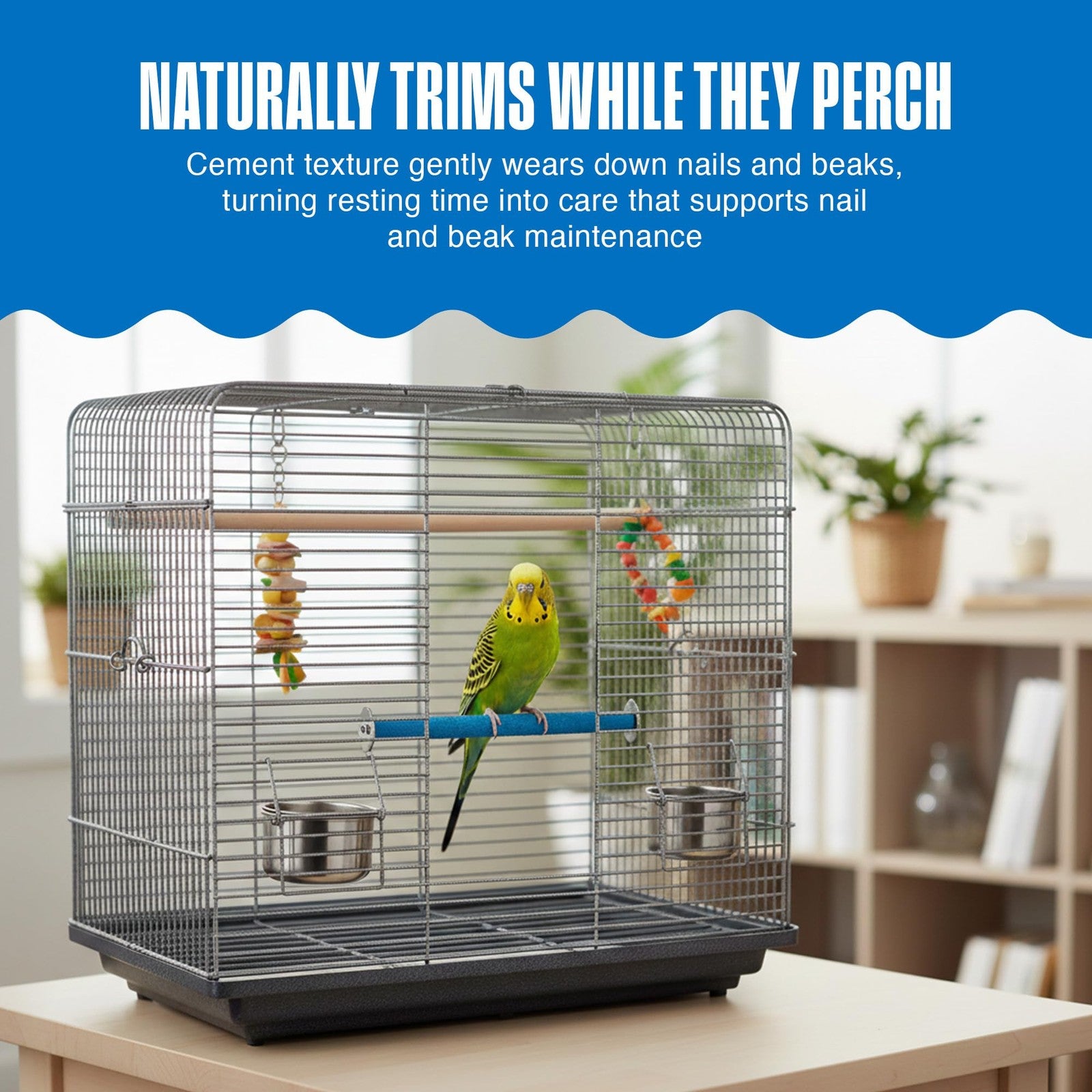 Penn-Plax Bird-Life Cement Trimmer-Perch showing natural cement surface for trimming bird nails and beak, with a perch design