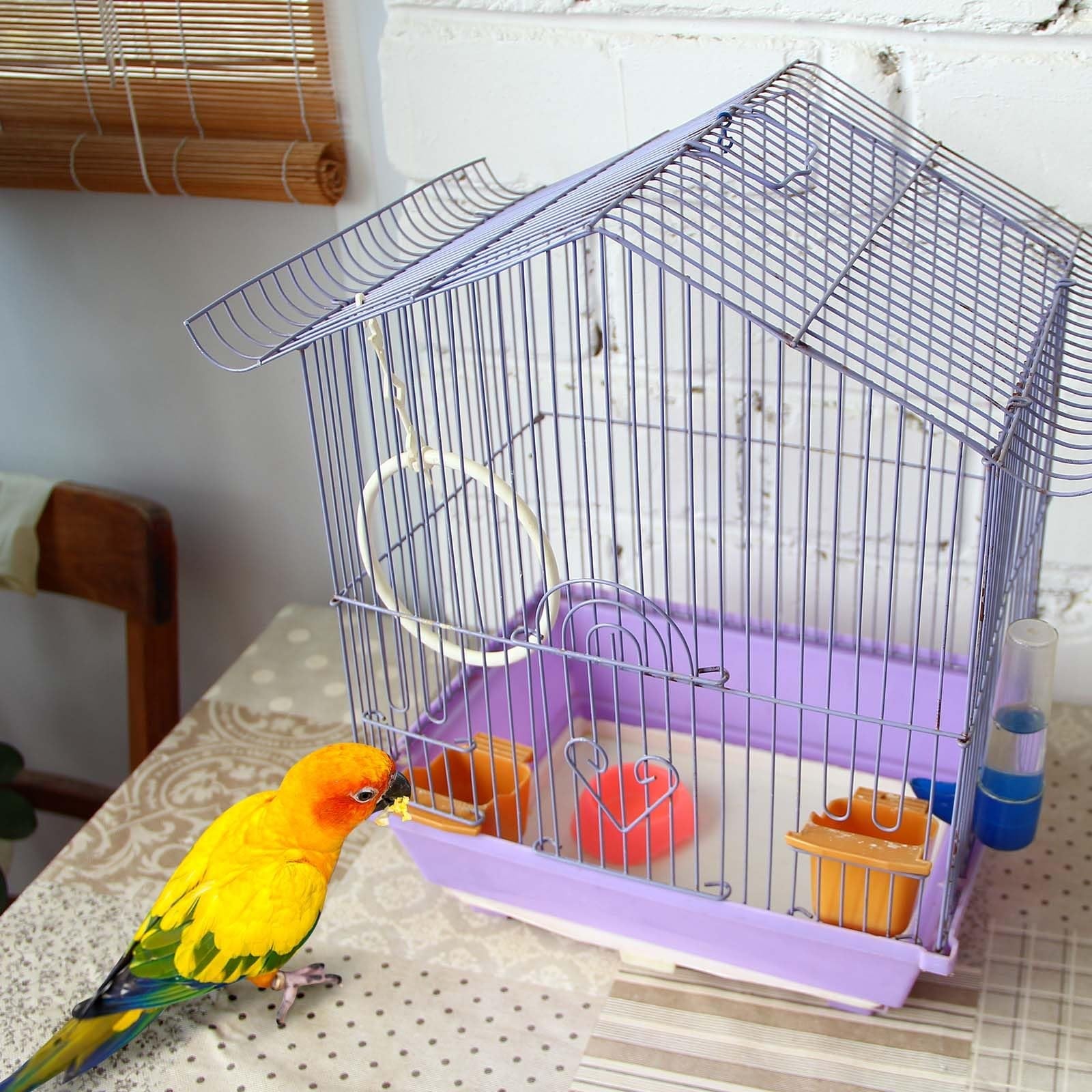 Drydiet 100ft x 22in bird cage liner with disposable, absorbent cushion pad for parakeet cages, showing the rolled paper liner.