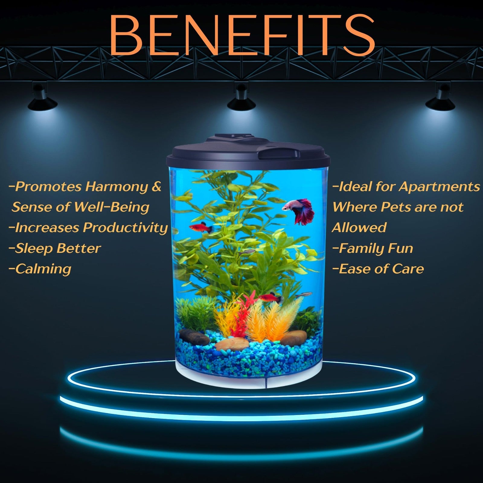 Koller Products AquaView 3-gallon aquarium with 7-color LED lighting, clear glass tank with aquatic decorations and filtration system.
