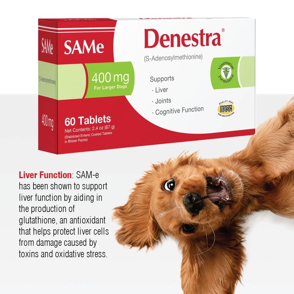 Denestra Same for Dogs supplement bottle containing S-Adenosyl-L-Methionine, used for liver, joint, and cognitive support in dogs.
