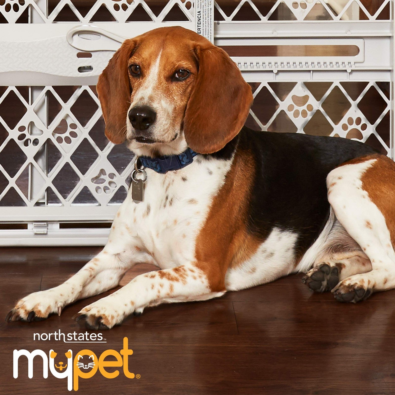 MYPET North States foldable pet pool with 48-inch diameter, suitable for pet bathing and swimming, shown outdoors.