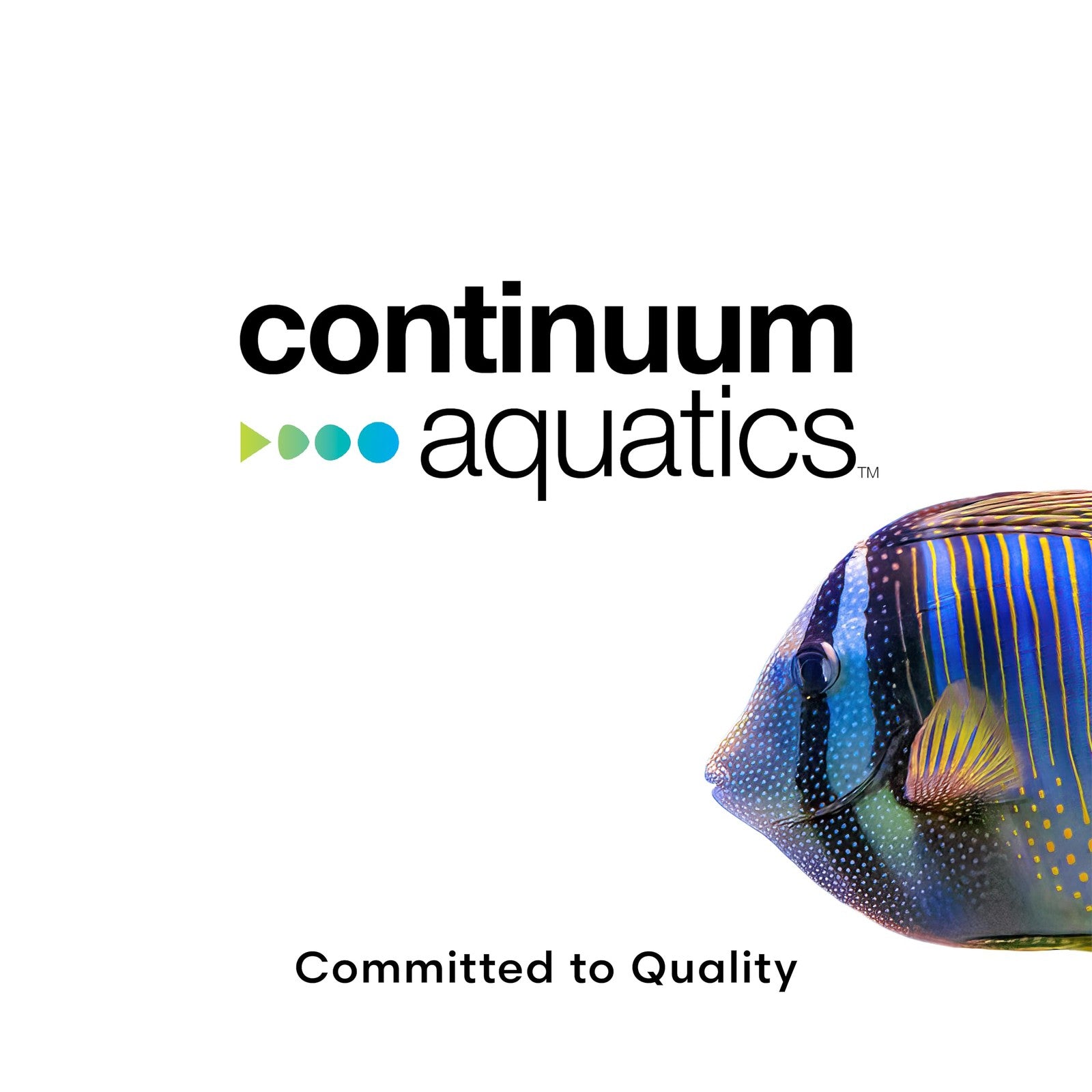 Continuum Aquatics BacterGen M Marine nitrifying bacteria supplement for aquarium waste reduction, shown in a clear container.