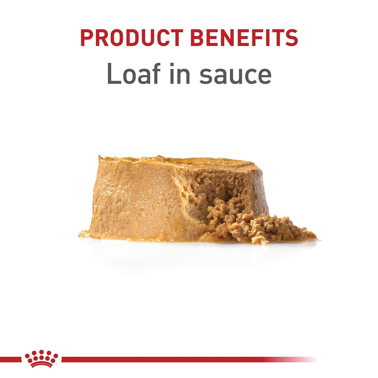 Royal Canin Canine Health Nutrition Puppy Loaf in Sauce dog food in a 5.2 oz can, showing the moist, nutritious puppy food.