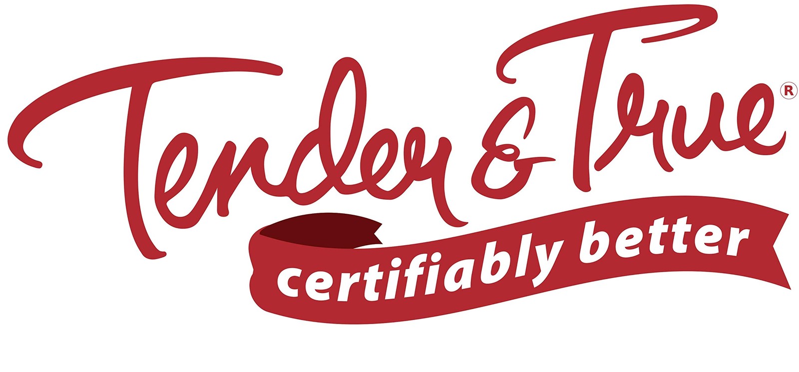 Small breed dog bowl filled with Tender & True organic chicken recipe dog food from unbranded Tender & True Pet Nutrition.