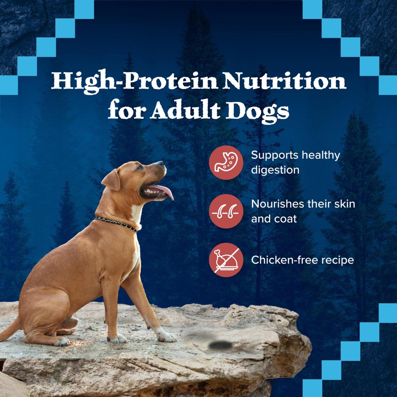 Blue Buffalo Wilderness adult wet dog food in red meat paté flavor, grain-free, 12-pack, featuring cans with blue and red labels.