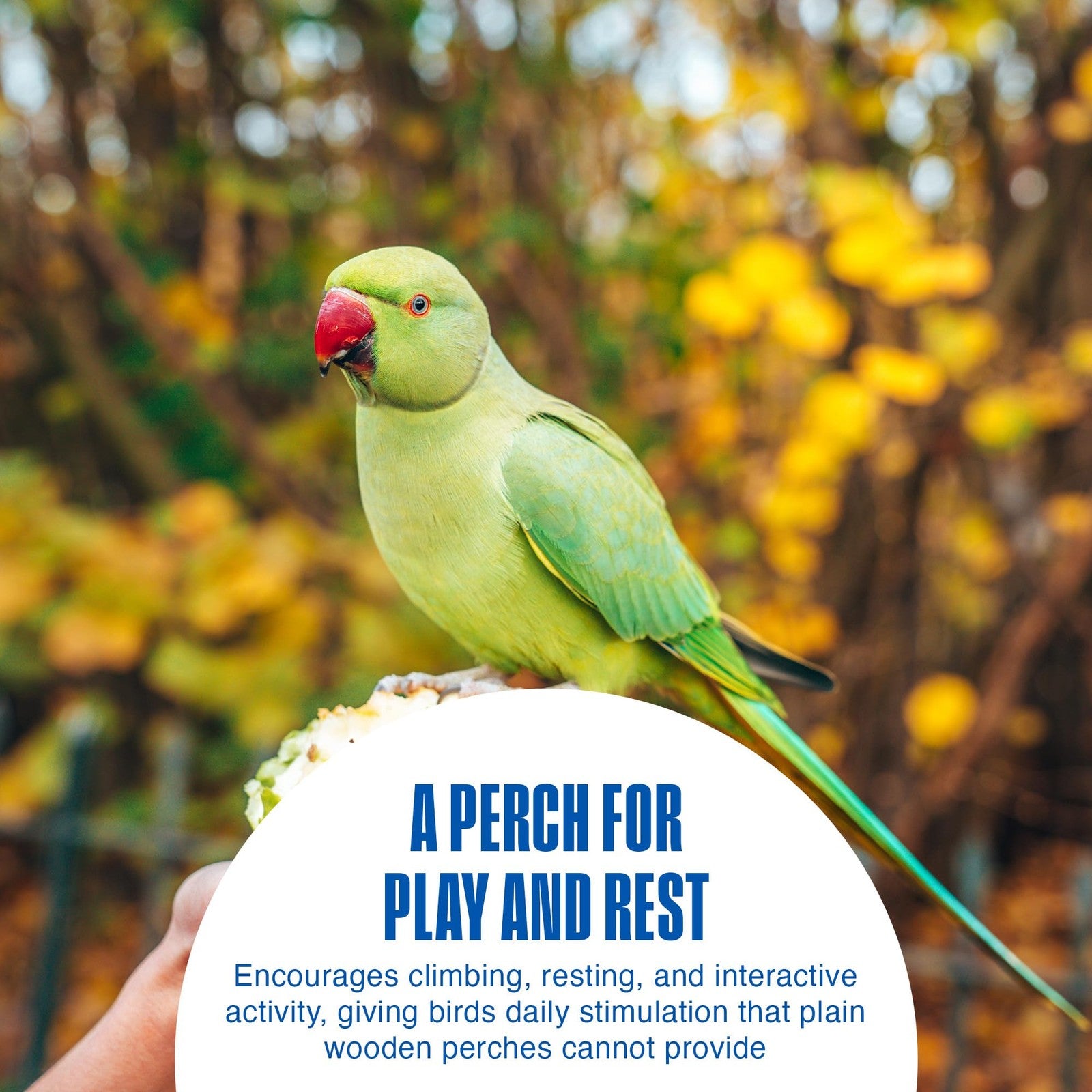 Penn-Plax Bird-Life Cement Trimmer-Perch for birds, natural design for trimming nails and beak, with textured cement surface.
