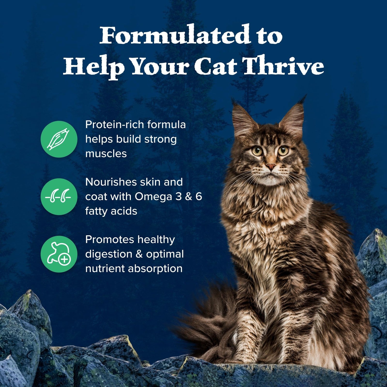 Blue Buffalo Wilderness adult dry cat food bag featuring duck recipe and high-protein natural ingredients.